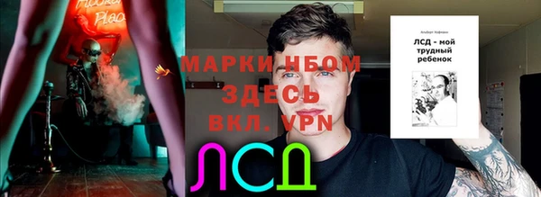 амф Беломорск