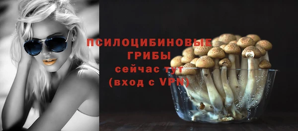 амф Беломорск