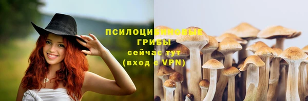 a pvp Богородск